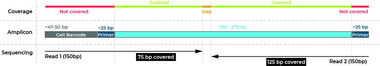 amplicon-1.jpg