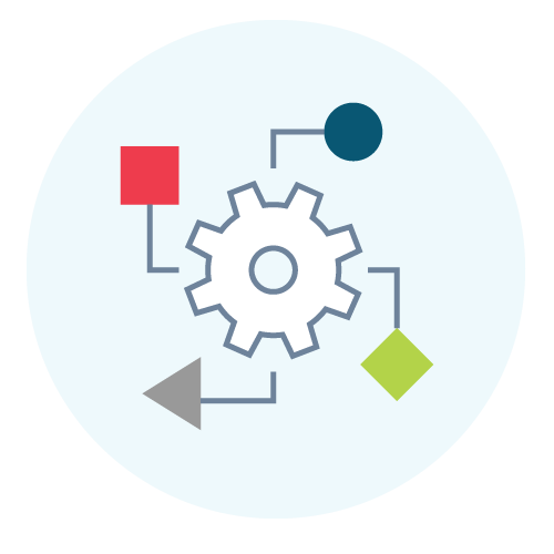 Experimental Workflow